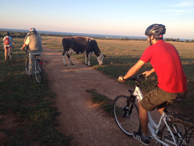 Avviso importante &ndash; Proroga termini di scadenza per le domande di soste...