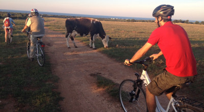 Avviso importante &ndash; Proroga termini di scadenza per le domande di soste...