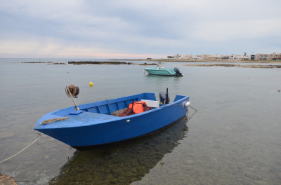 Proroga termini al 31 maggio 2021 per l&rsquo;intervento 3.4 &ldquo;Rete virt...