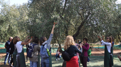 Nuova proroga per Il Pacchetto multi misura per l&rsquo;avvio e lo sviluppo d...