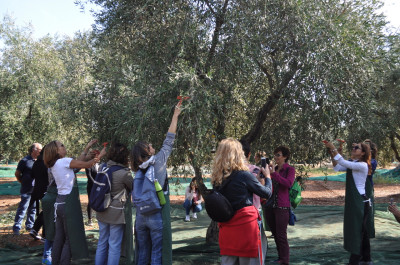 Nuova proroga per Il Pacchetto multi misura per l&rsquo;avvio e lo sviluppo d...