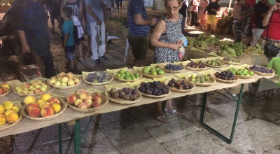 Nuova proroga dei termini per l&rsquo;intervento 4.1 &ldquo;Accompagnamento a...