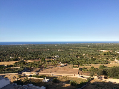 Deliberazione della Giunta Regionale 7 ottobre 2019 n 1802 