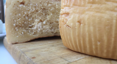 Nuova proroga dei termini per l&rsquo;intervento 4.1 &ldquo;Accompagnamento a...