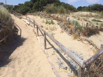 NUOVO Intervento 1.2 &ldquo;Ripristino di habitat naturali costieri e marini&...