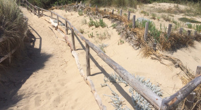 NUOVO Intervento 1.2 &ldquo;Ripristino di habitat naturali costieri e marini&...