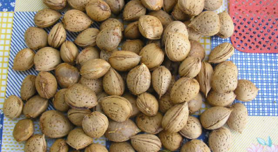 Proroga dei termini per l&rsquo;intervento 4.1 &ldquo;Accompagnamento alla co...