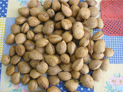 Proroga dei termini per l&rsquo;intervento 4.1 &ldquo;Accompagnamento alla co...