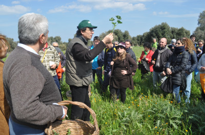 Intervento 3.1 II Ed. 2020 &ldquo;Pacchetto multimisura per l&rsquo;avvio e l...