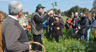 Intervento 3.1 II Ed. 2020 &ldquo;Pacchetto multimisura per l&rsquo;avvio e l...