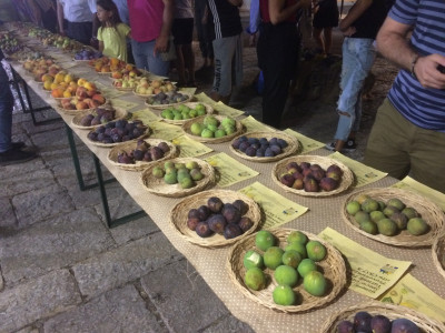 Proroga termini al 10 Giugno 2021 per l&rsquo;intervento 4.1 &ldquo;Accompagn...