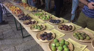 Proroga termini al 10 Giugno 2021 per l&rsquo;intervento 4.1 &ldquo;Accompagn...