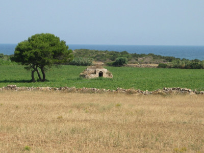 Linee guida sull'ammissibilit&agrave; delle spese relative allo sviluppo rura...