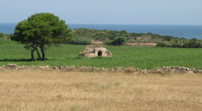 Linee guida sull'ammissibilit&agrave; delle spese relative allo sviluppo rura...